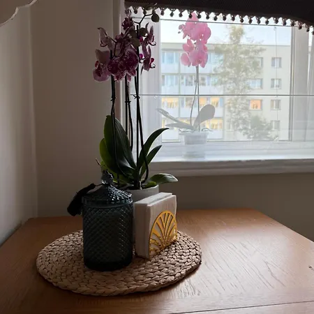 Apartment Nestaa Druskininkai