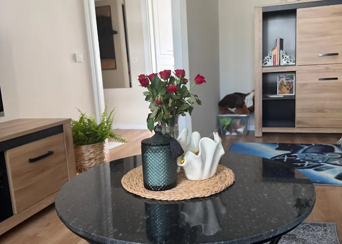 Apartament Nestaa Druskieniki