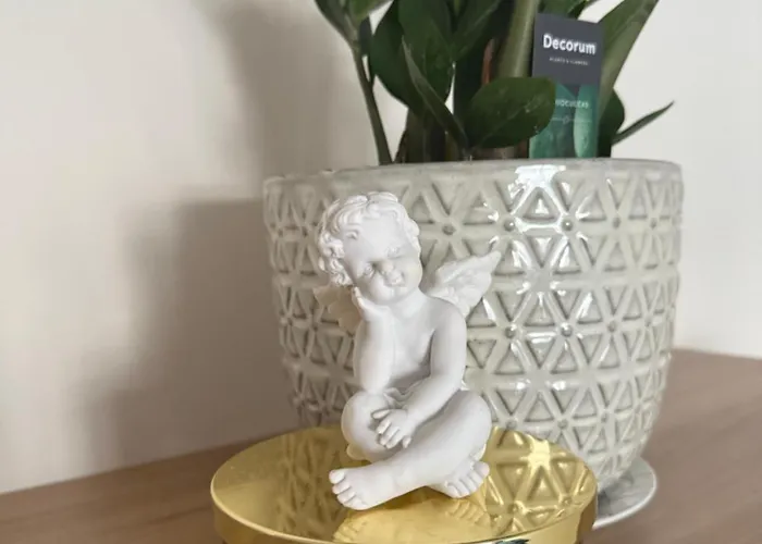 Nestaa * Druskieniki