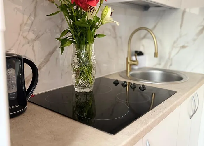 Nestaa Apartament Druskieniki