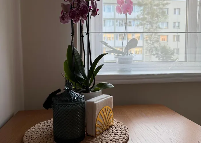 Apartament Nestaa Druskieniki