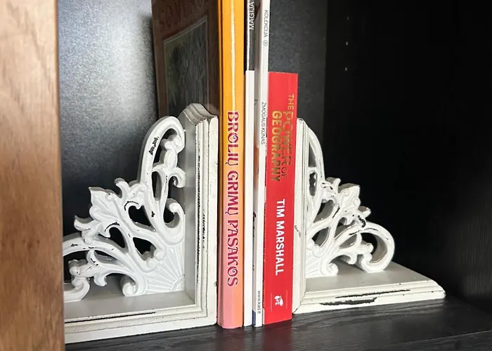 Nestaa Apartament Druskieniki